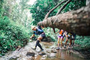 BIB: 
                            <button type="button" onclick="openModal(25374818)" class="btn btn-primary btn-sm float-right btn-popup" data-toggle="modal" data-target=".modal-high-quality">
                        <i class="fas fa-shopping-cart"></i> Add to Cart
                    </button>
                                            <button type="button" onclick="isThisMe(25374818, true)" class="btn btn-success btn-sm float-right btn-popup btn-isme hidden" data-toggle="tooltip" data-placement="bottom" title="นี่คือรูปของคุณใช่ไหม คลิกที่นี่เพื่อเอาเข้าอัลบั้ม">
                        <i class="fas fa-plus"></i> Add to album
                    </button>
                    <button type="button" onclick="isThisMe(25374818, false)" class="btn btn-warning btn-sm float-right btn-popup btn-isnotme hidden">
                        <i class="fas fa-ban"></i> Remove from album
                    </button>